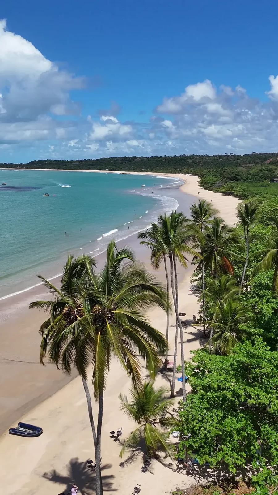 Vista do litoral com coqueiros no vídeo original do cliente